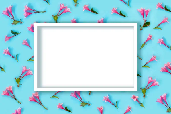 青い紙の背景に美しいピンクのWeigelaの花 流行の創造的な背景 フラットレイアウト トップビュー コピースペースコンセプト — ストック写真