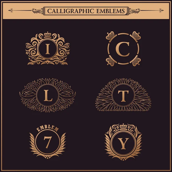 Jahrgang blüht Elemente. Kalligrafische Ornamente — Stockvektor