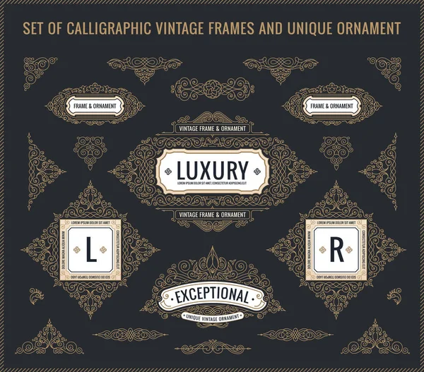 Vector Calligraphic Design elements. Vintage Flourishes Retro logo and frames set — Stock Vector