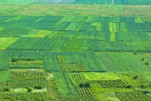 Flygfoto över landsbygdens jordbruks scen — Stockfoto