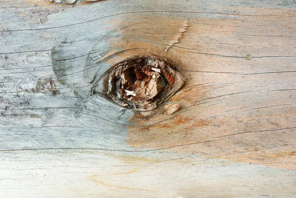 Tablón grunge de fondo de madera — Foto de Stock