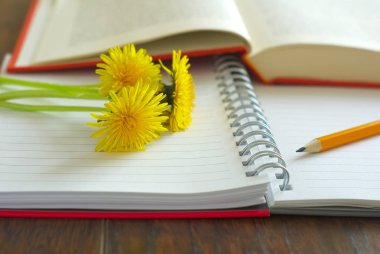 Karahindiba öğretmen bahar not kağıdı