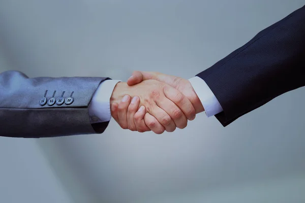 Two professional business people shaking hands