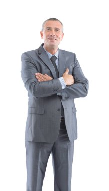 bir gri takım elbise ve ti emin işadamı portresi