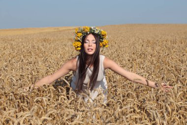 gün batımında buğday alanında güzel esmer Bayan