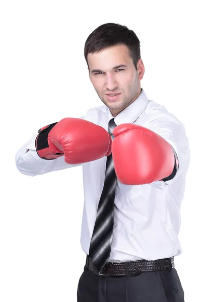 Homme d'affaires prêt à se battre avec des gants de boxe sur blanc — Photo