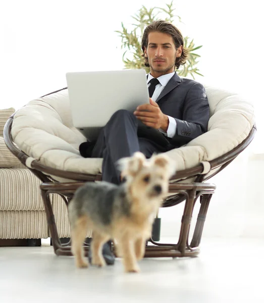 Mladý podnikatel s notebookem sedět v velké pohodlné křeslo. — Stock fotografie