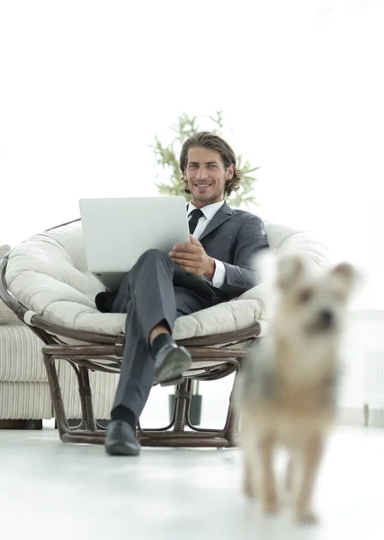 Içinde büyük bir rahat armchai oturan dizüstü bilgisayar ile başarılı iş adamı — Stok fotoğraf
