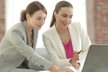 Proje işbirliği tartışırken iki iş kadınları