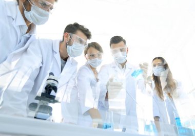bilim adamları test tüpleri ve laboratuar mikroskobu ile çalışma