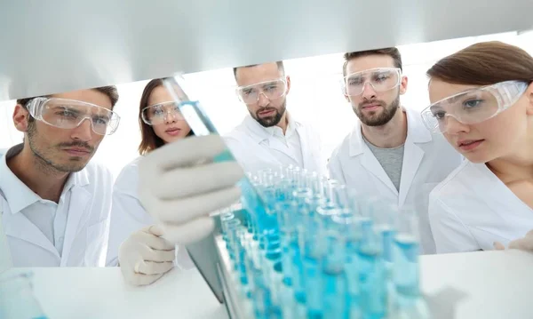 Bakgrundsbilden är en grupp av mikrobiologer studera vätskan i glasröret. — Stockfoto
