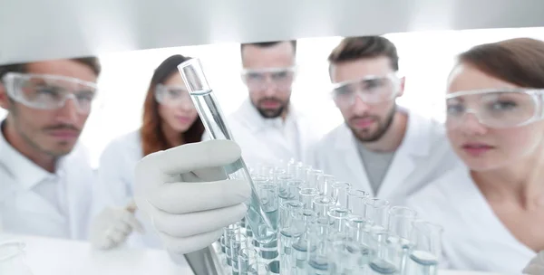 Bakgrundsbilden är en grupp av mikrobiologer studera vätskan i glasröret. — Stockfoto