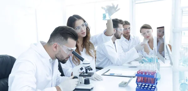 Cientistas examinando atentamente pipeta com fluido azul em laboratório — Fotografia de Stock