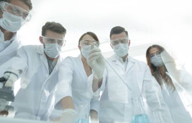bilim adamları test tüpleri ve laboratuar mikroskobu ile çalışma