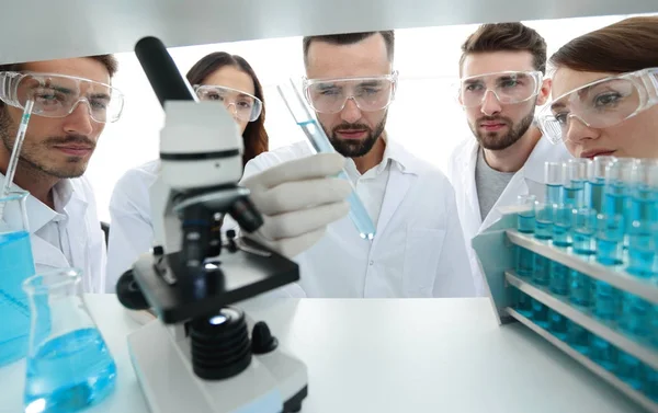 Grupp av farmaceuter som arbetar i laboratoriet. — Stockfoto