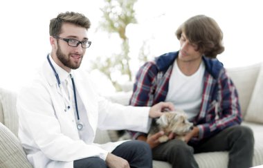 belgili tanımlık Yorkshire korkunç bir muayene veteriner yürütmektedir.