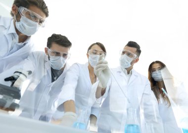 bilim adamları test tüpleri ve laboratuar mikroskobu ile çalışma