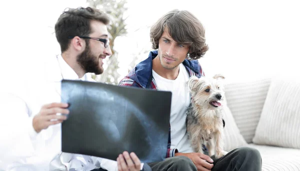 Κτηνίατρος δείχνει μια ακτινογραφία στον ιδιοκτήτη του σκύλου. — Φωτογραφία Αρχείου