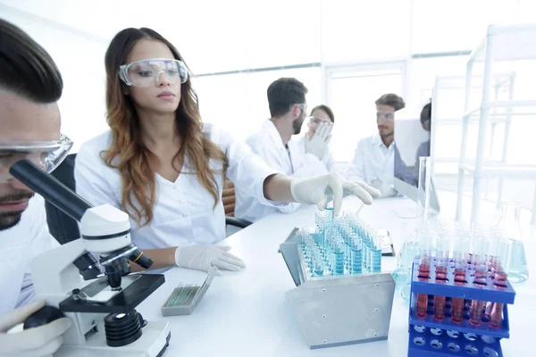 Científicos examinando en el laboratorio con tubos de ensayo . —  Fotos de Stock