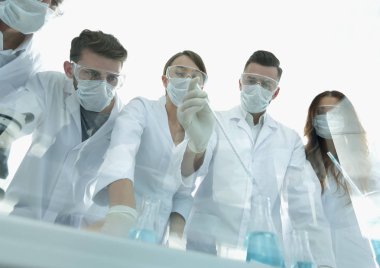 bilim adamları test tüpleri ve laboratuar mikroskobu ile çalışma