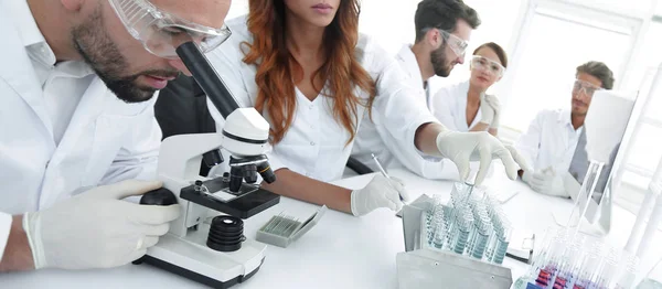 Scienziati che esaminano in laboratorio con provette . — Foto Stock