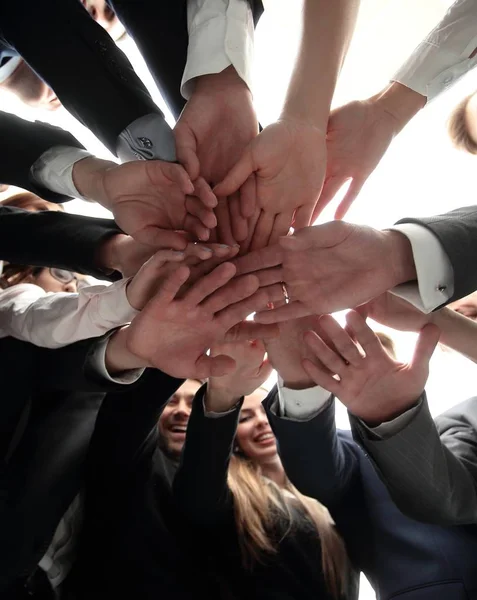 Grande équipe d'affaires forme un cercle et ses mains serrées ensemble — Photo
