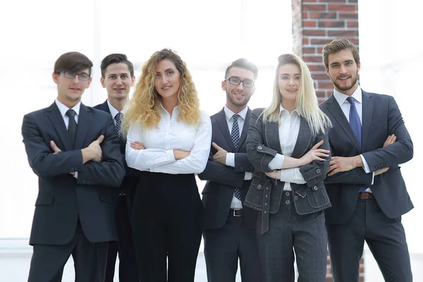 Retrato de uma equipe de negócios profissional — Fotografia de Stock