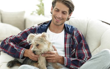 yakışıklı olan büyük bir koltukta oturan bir köpekle.