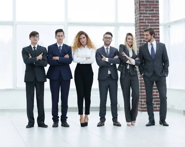 Retrato de uma equipe de negócios profissional — Fotografia de Stock