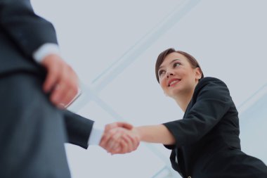 El sıkışan iki profesyonel iş adamları.