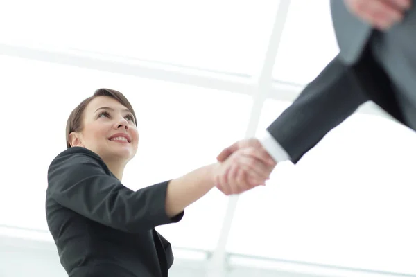 Business people  shaking hands to seal a deal — Stock Photo, Image