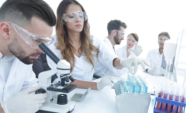 Scientists examining in the lab with test tubes. — Stock Photo, Image