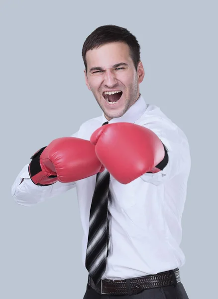 Zakenman klaar om te vechten met bokshandschoenen over grijs — Stockfoto