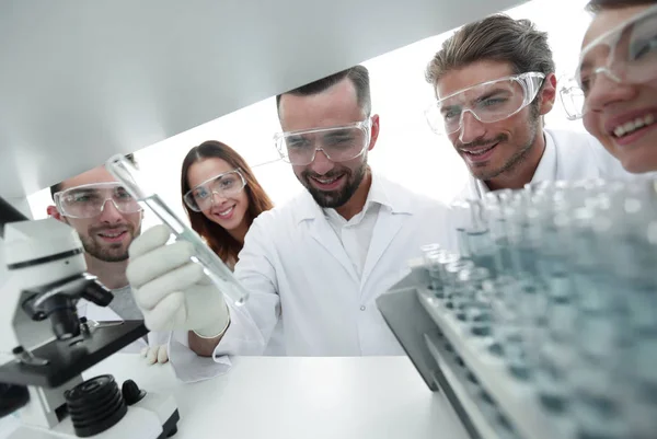 Grupp av farmaceuter som arbetar i laboratoriet. — Stockfoto