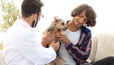 Sevgi dolu sahibi ile bir veteriner ofiste a Yorkshire korkunç
