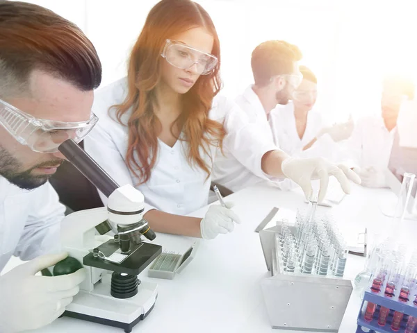 Científicos examinando en el laboratorio con tubos de ensayo . — Foto de Stock