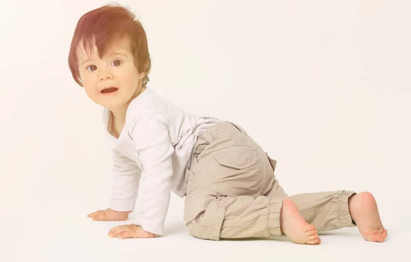 Retrato de um bebê doce bonito rastejando no estúdio — Fotografia de Stock