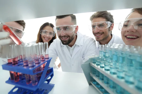 Grupo de científicos y farmacéuticos que trabajan en el laboratorio — Foto de Stock