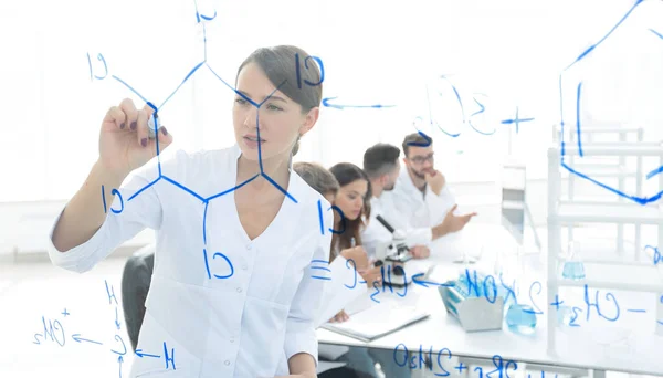 View through the transparent Board. female scientist makes a report to colleagues — Stock Photo, Image