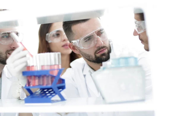 Gros plan d'un groupe de scientifiques et de pharmaciens en laboratoire . — Photo