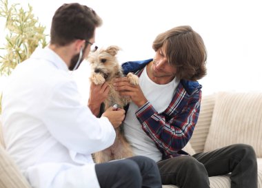 Sevgi dolu sahibi ile bir veteriner ofiste a Yorkshire korkunç