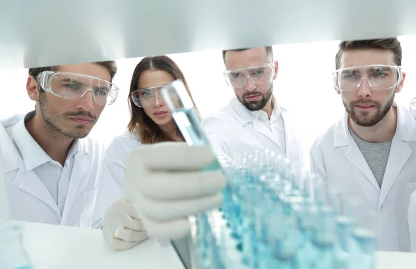 Image de fond est un groupe de microbiologistes étudiant le liquide dans le tube de verre . — Photo