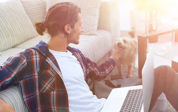 Snygg ung man strök hans husdjur och arbetar på bärbar dator — Stockfoto