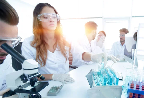 Científicos examinando en el laboratorio con tubos de ensayo . — Foto de Stock