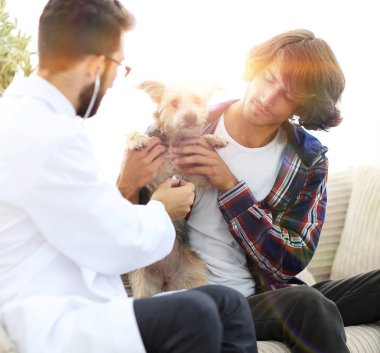 Sevgi dolu sahibi ile a Yorkshire korkunç bir veterin ofiste