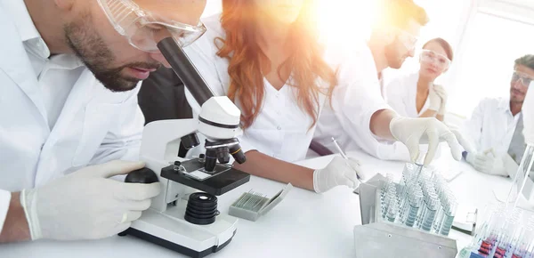 Científicos examinando en el laboratorio con tubos de ensayo . — Foto de Stock