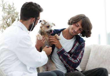 Sevgi dolu sahibi ile bir veteriner ofiste a Yorkshire korkunç