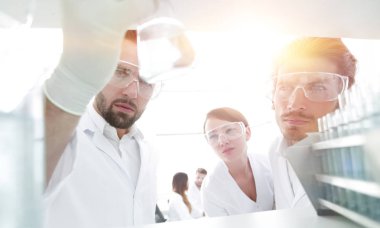 portre. bilim adamı ve gl çözümde eğitim asistanı