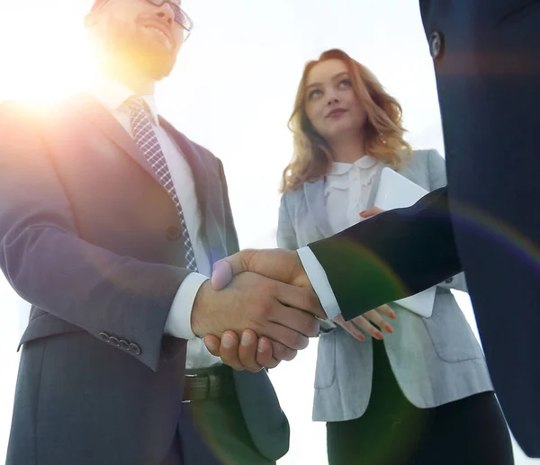 Fechar o handshake homem de negócios juntos na sala de reuniões — Fotografia de Stock