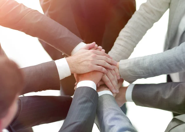 Equipe de negócios profissional única — Fotografia de Stock